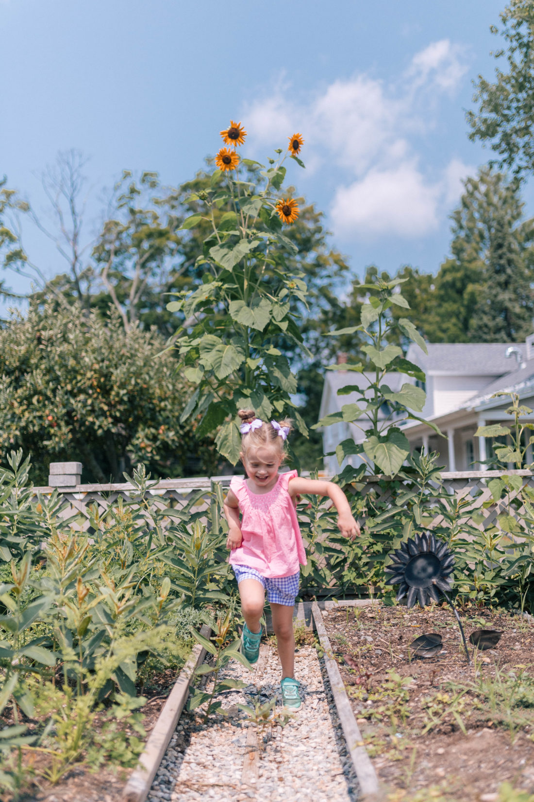 Marlowe Martino wears a pink top and gingham shorts, and picks vegetables in the garden of a local connecticut farm