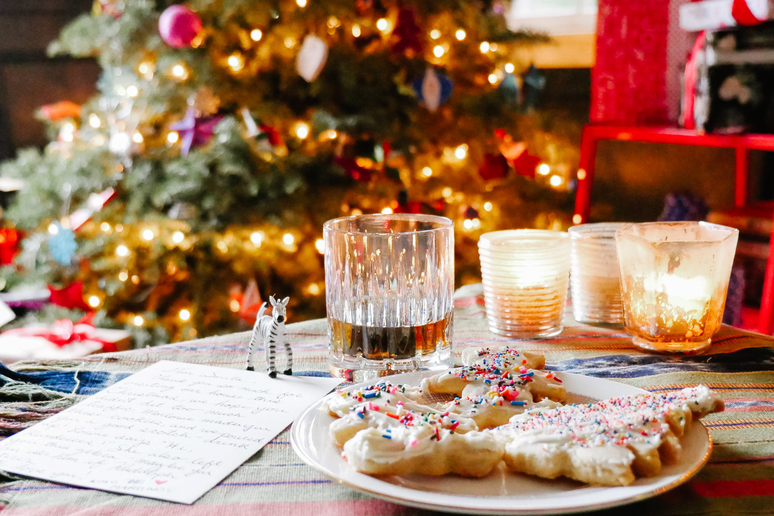 Eva Amurri shares what Christmas Eve treats she makes for Santa