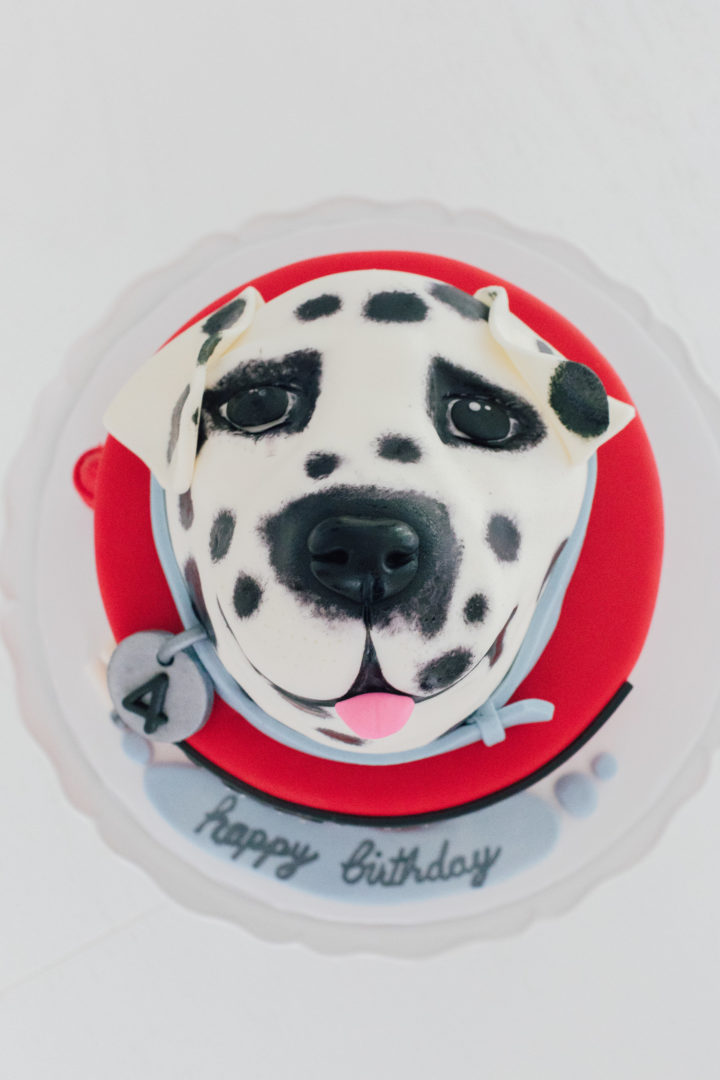 Eva Amurri Martino's Dalmation Birthday Cake for her daughter Marlowe's 4th Birthday