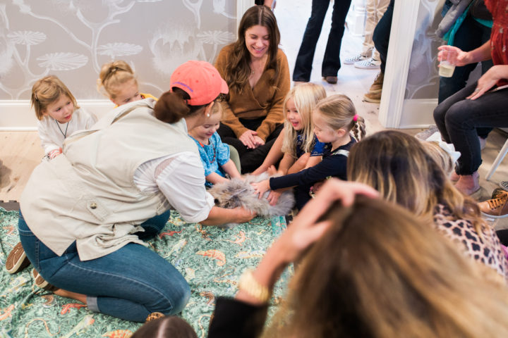 Eva Amurri Martino shares images from her son Major's Safari themed 2nd birthday party
